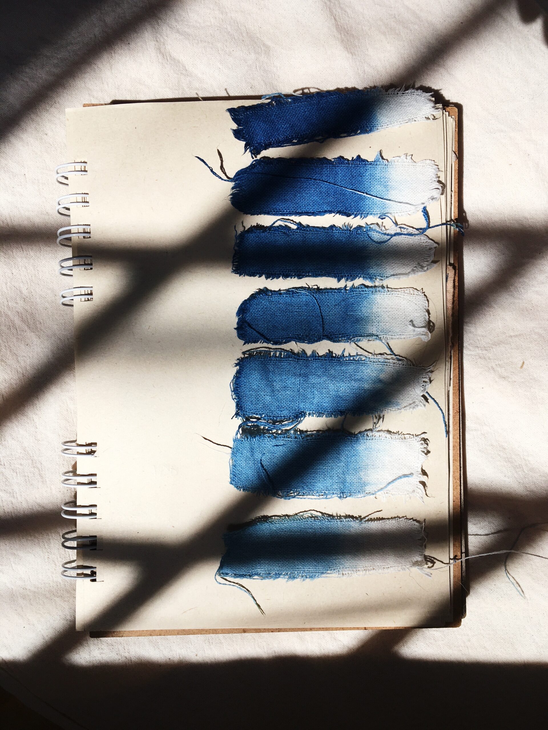 diario de tintes naturales