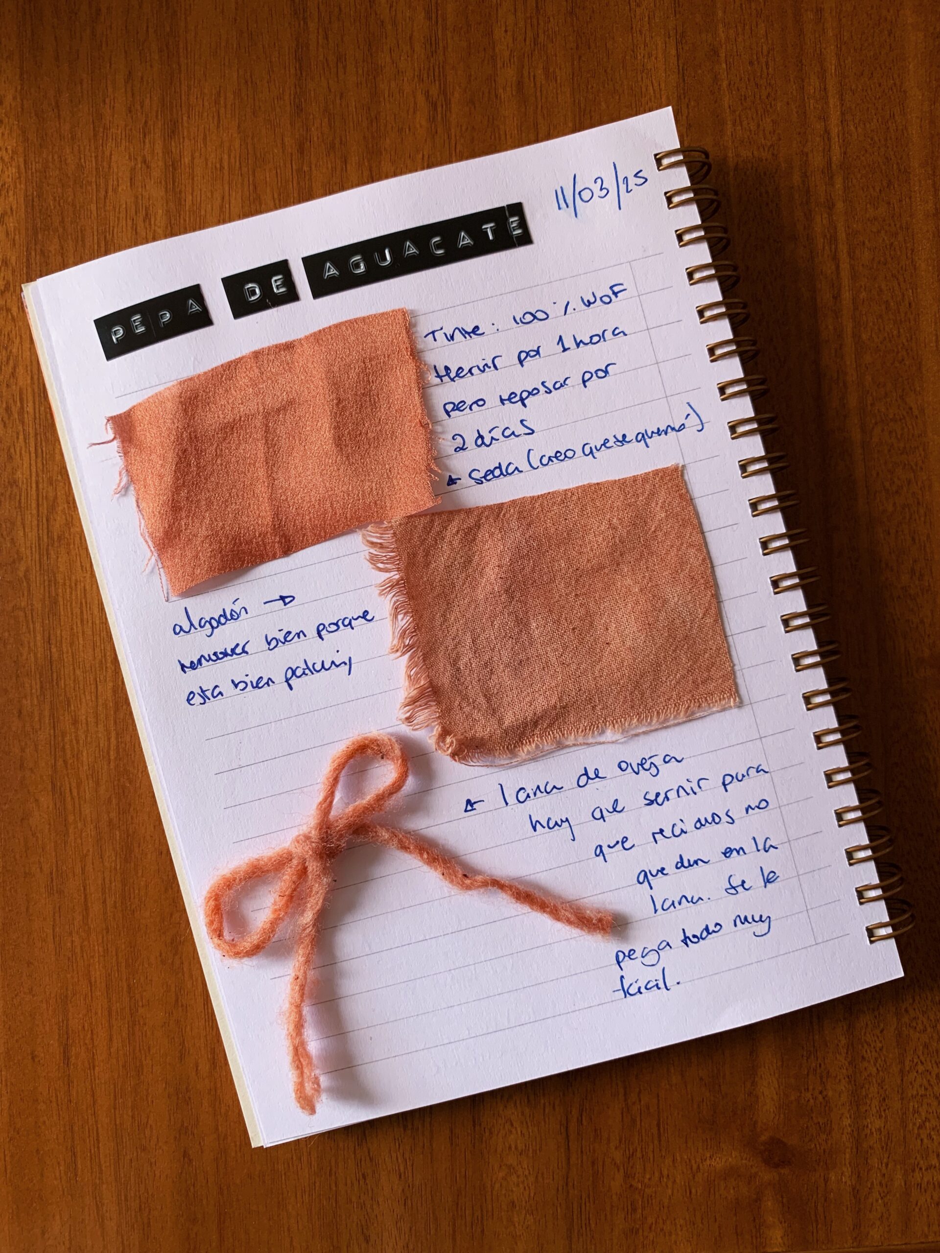 diario de tintes naturales